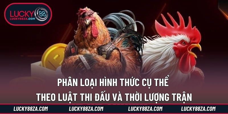 Phân loại hình thức cụ thể theo luật thi đấu và thời lượng trận
