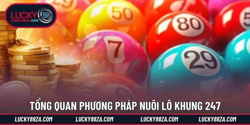 Tổng quan phương pháp nuôi lô khung 247