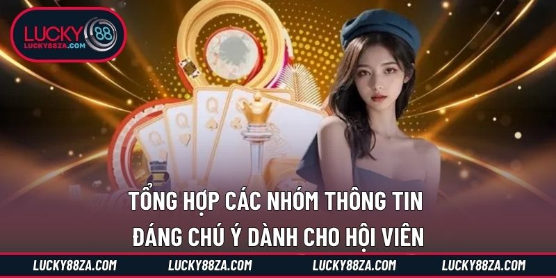 Tổng hợp các nhóm thông tin đáng chú ý dành cho hội viên